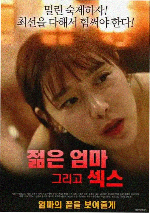 代号白鸦 动画封面